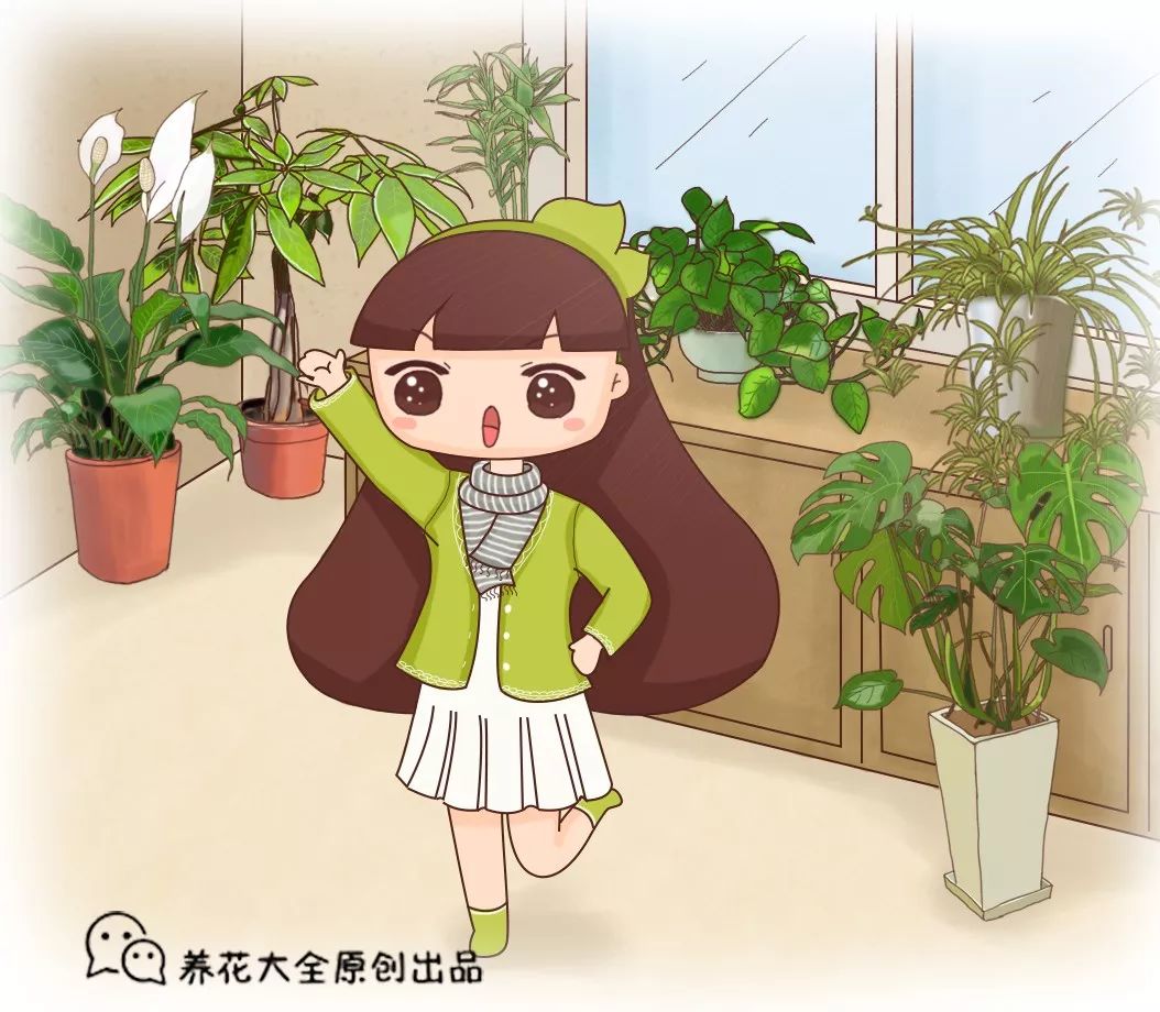 收藏 | 室內(nèi)養(yǎng)花，記住這5點(diǎn)，養(yǎng)活1000盆花