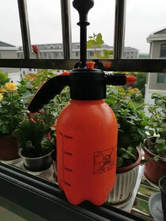 室內養(yǎng)花的好處與壞處_室內養(yǎng)花有小飛蟲怎么辦_室內養(yǎng)花