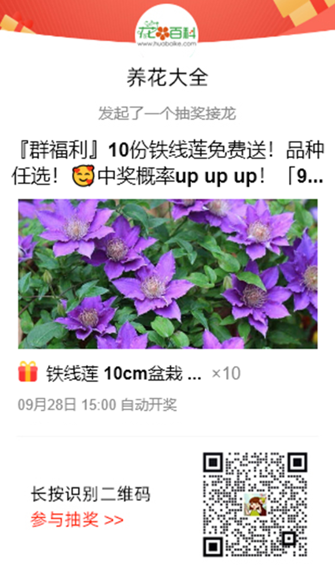 室內養(yǎng)花_室內養(yǎng)花有小飛蟲怎么辦_室內養(yǎng)花的好處與壞處