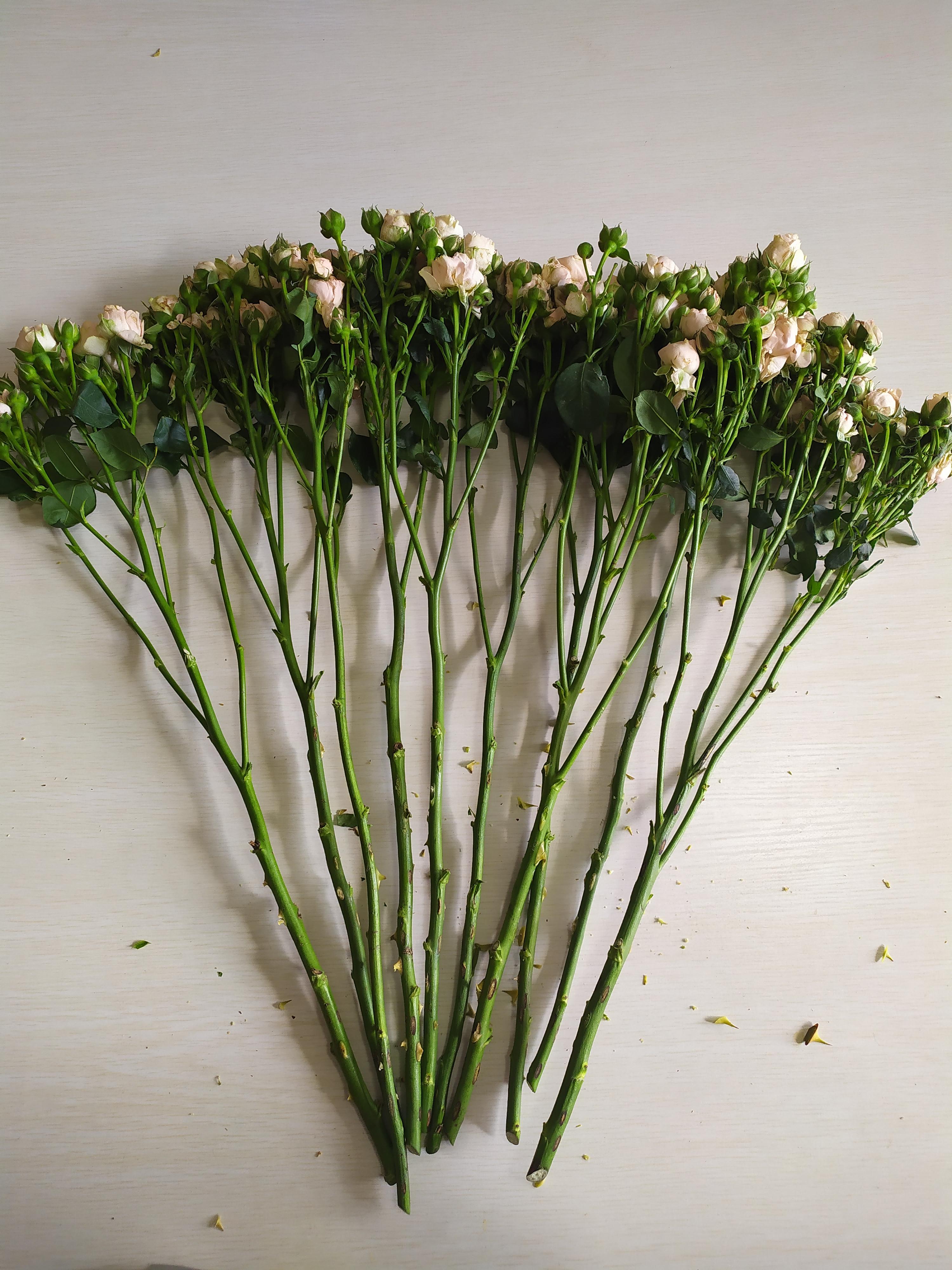 鮮花如何醒花兒_鮮花醒花后怎么儲存_鮮花醒花怎么處理