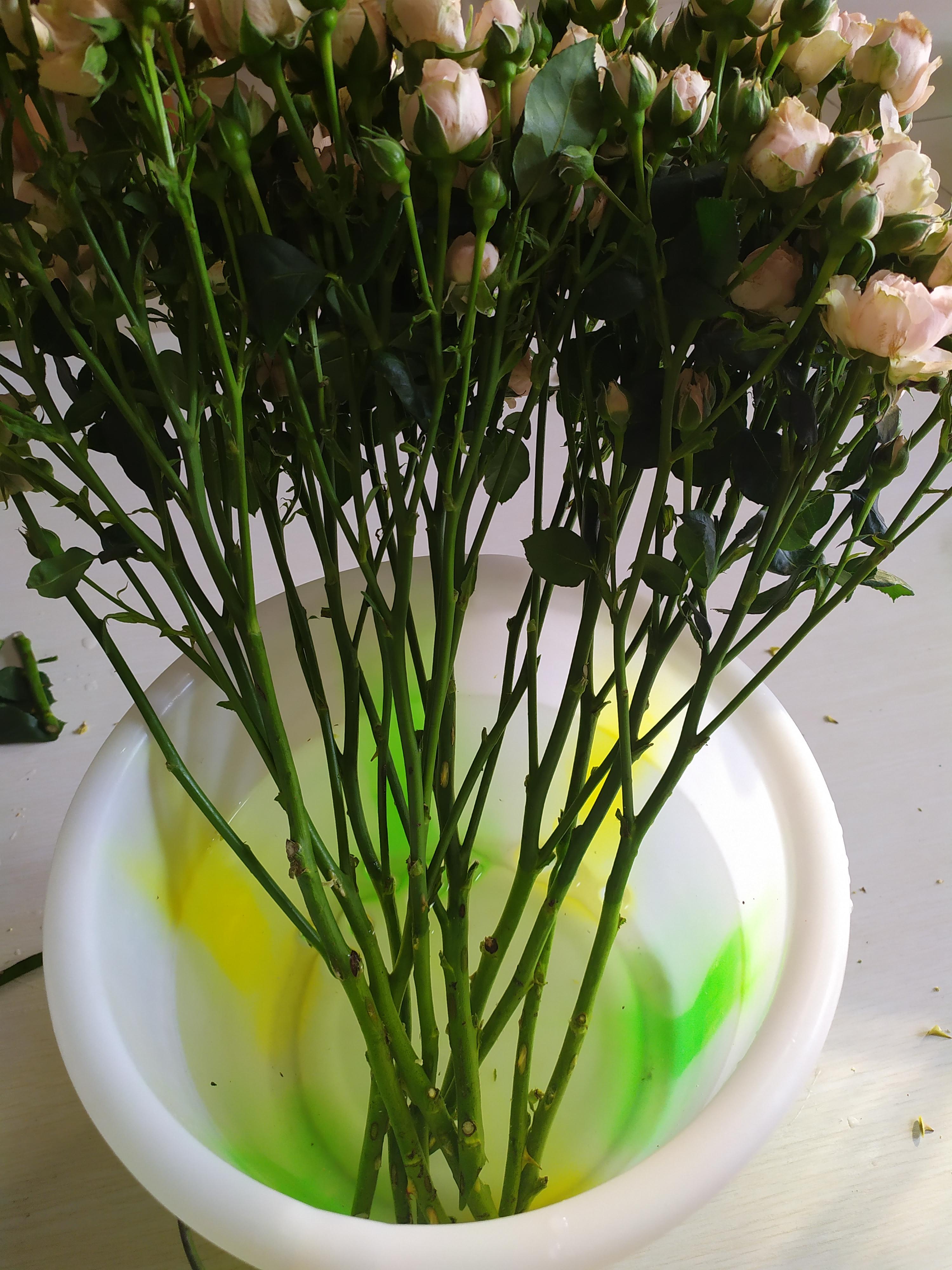 鮮花醒花后怎么儲存_鮮花醒花怎么處理_鮮花如何醒花兒