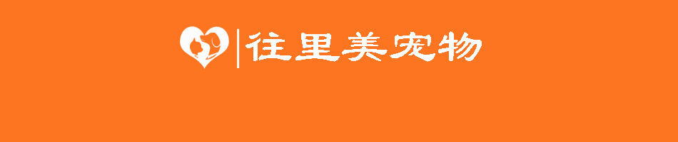 貓咪的發(fā)育階段與人類年齡的對(duì)比是怎樣的？