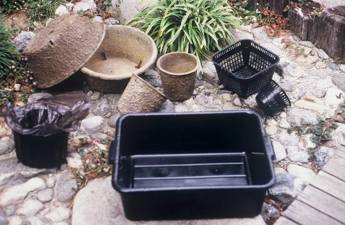 花卉室內(nèi)養(yǎng)品種容易生蟲嗎_容易養(yǎng)的室內(nèi)花卉品種_花卉室內(nèi)養(yǎng)品種容易招蚊子嗎