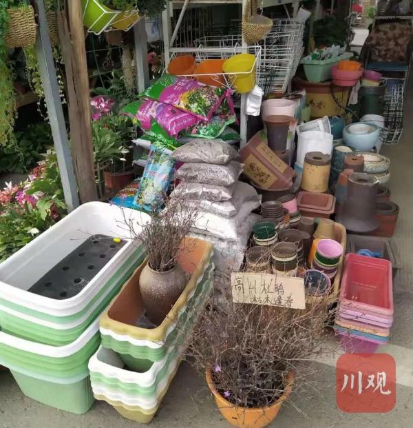 2020年成都花卉市場_成都花卉市場的貨源在哪里進(jìn)的_成都花卉市場