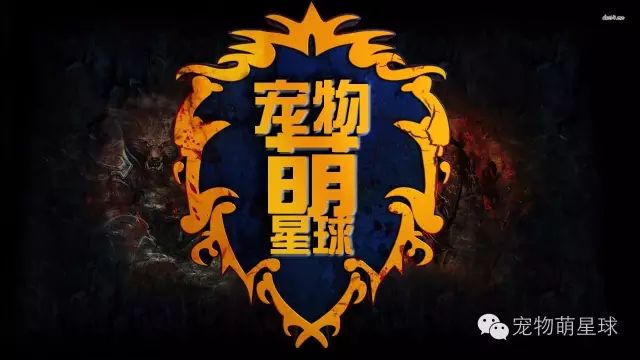 多大狗狗可以驅(qū)蟲_狗多大_多大狗可以洗澡