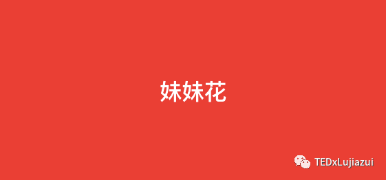 <strong>情人節(jié)｜女生該送男生什么花？</strong>