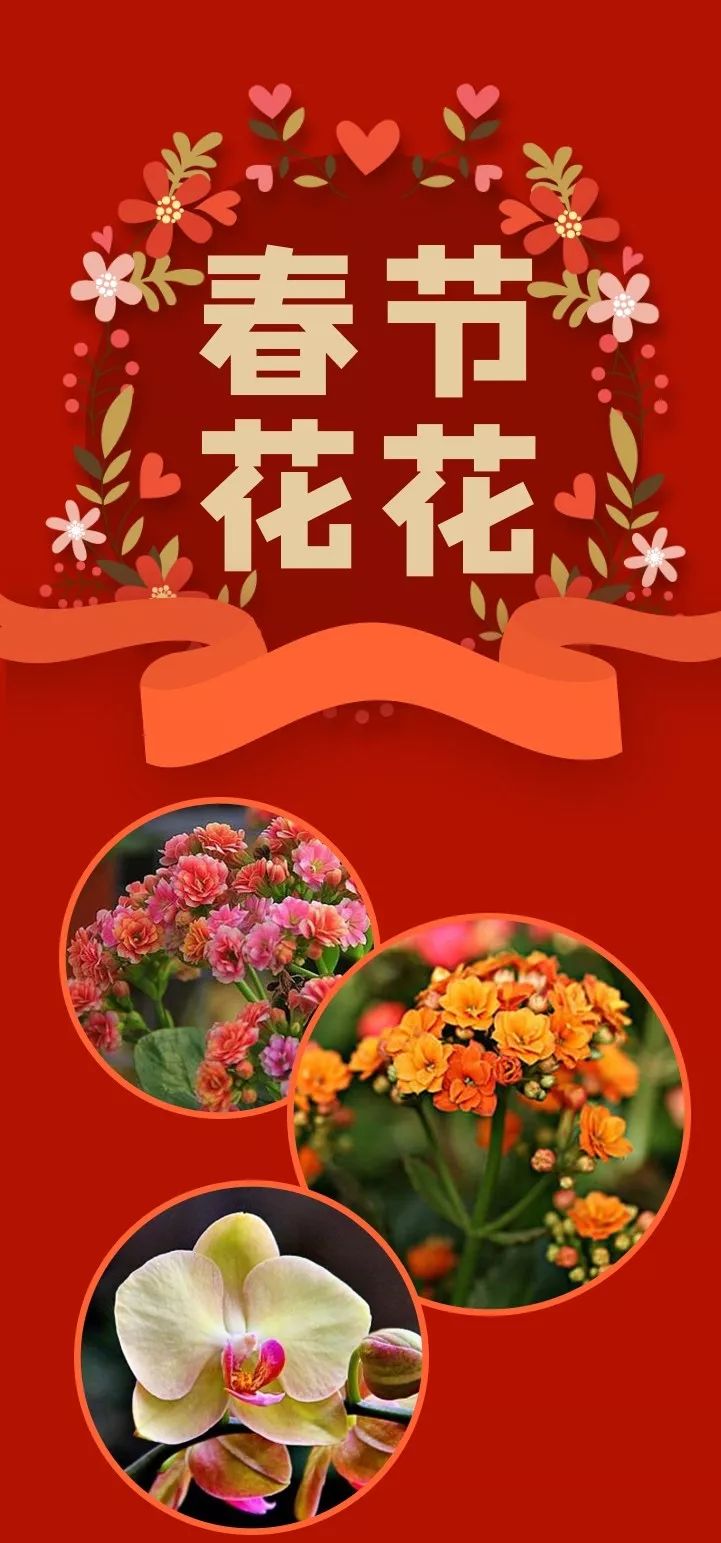 仿真花卉批發(fā)市場(chǎng)地址_花卉批發(fā)中心_花卉基地批發(fā)在哪里