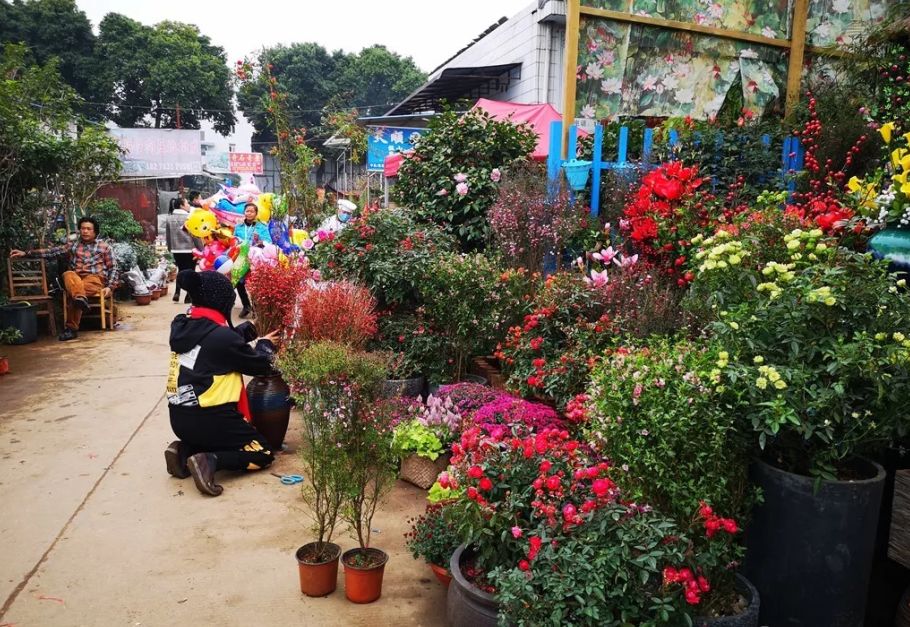 花卉批發(fā)中心_花卉基地批發(fā)在哪里_仿真花卉批發(fā)市場(chǎng)地址