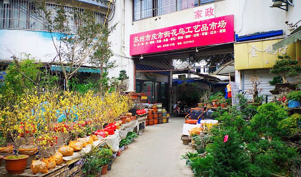 花卉批發(fā)中心_花卉基地批發(fā)在哪里_仿真花卉批發(fā)市場(chǎng)地址