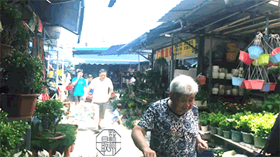 花卉批發(fā)中心_花卉基地批發(fā)在哪里_仿真花卉批發(fā)市場(chǎng)地址