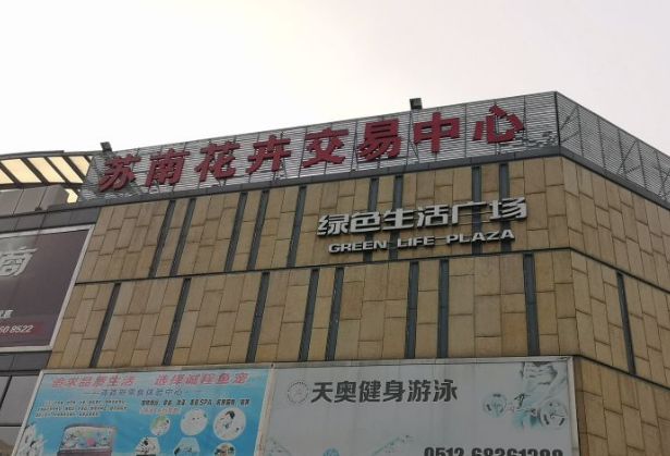 花卉基地批發(fā)在哪里_花卉批發(fā)中心_仿真花卉批發(fā)市場(chǎng)地址