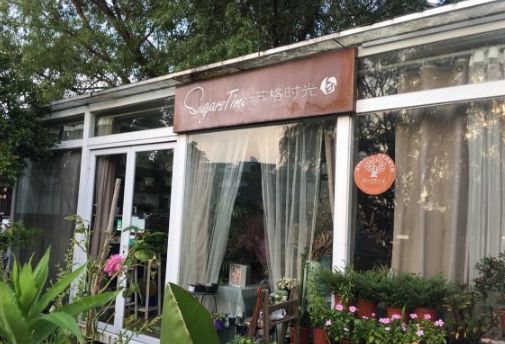 花卉基地批發(fā)在哪里_仿真花卉批發(fā)市場(chǎng)地址_花卉批發(fā)中心