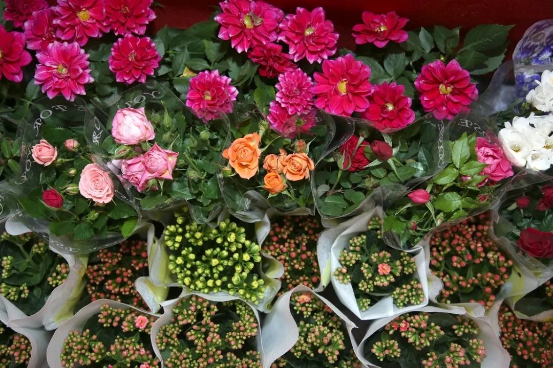 花卉基地批發(fā)在哪里_花卉批發(fā)中心_仿真花卉批發(fā)市場(chǎng)地址