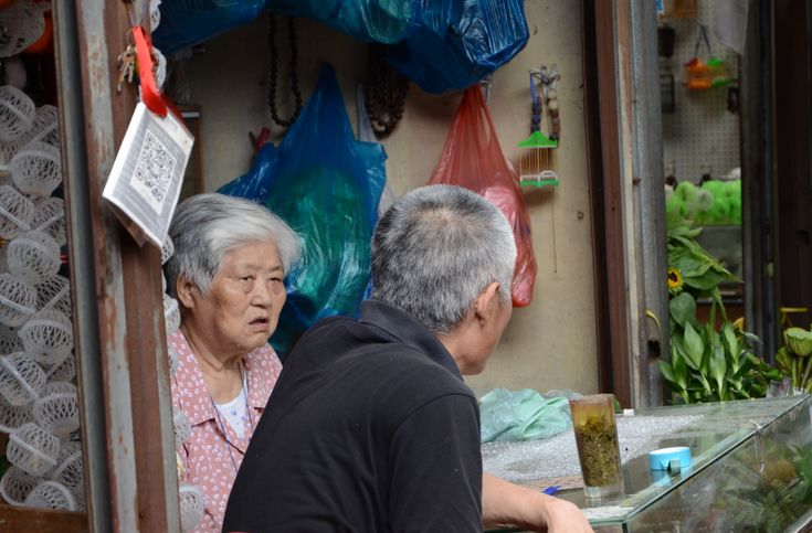 花卉基地批發(fā)在哪里_花卉批發(fā)中心_仿真花卉批發(fā)市場(chǎng)地址