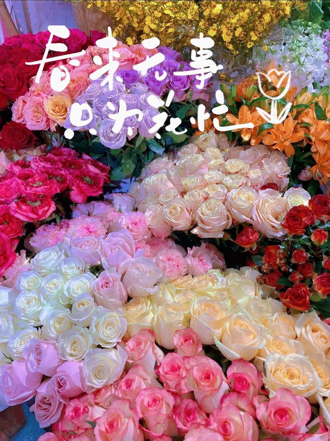 西安必逛寶藏花市攻略！不需花太多錢，10塊錢就能買走一個(gè)春天！