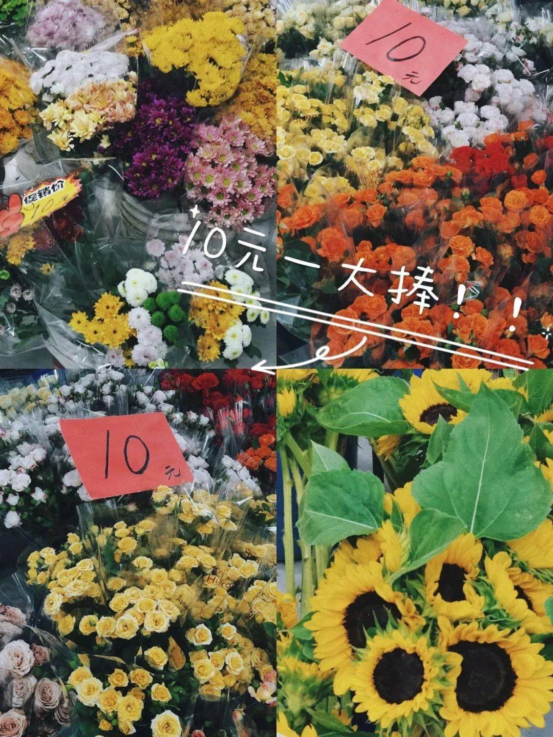 西安花卉市場行情_西安花卉市場_2021年西安花卉市場