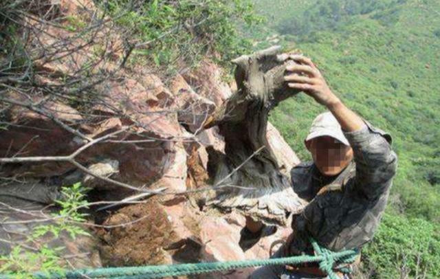 崖柏手串一般多少錢(qián)_文玩手串崖柏_手串錢(qián)一般崖柏多少一串
